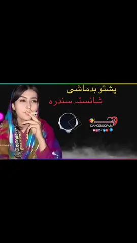 Plz my video pashto badmashi song #viralvideo #foryou #foryoupage #dangar #typist #full #saport #me #