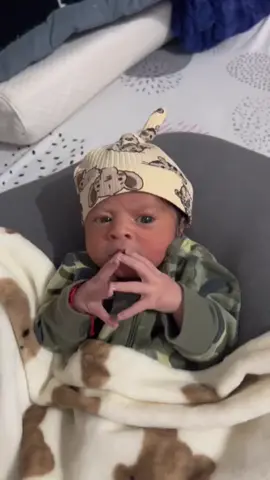 The life of critic 😂 #baby #newborn #newbornbaby #babysoftiktok #foryou 