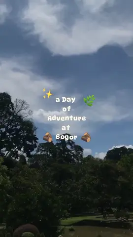 opening video vlog potrait aesthetic ✨🌸 #fyp #openingvlog #templatecapcut #aesthetic #potrait #templateaesthetic #aestheticopening #CapCut 