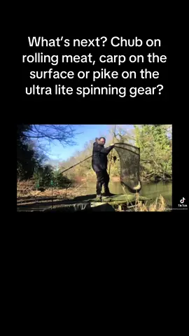 What’s next, you decide! #chubfishinguk #carpfishinguk  #pikefishinguk 