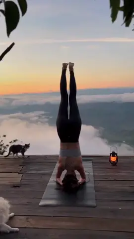 Sắm ngay 1 chiếc thảm Yoga để hoà mình cùng thiên nhiên tươi đẹp #leeshop #yoga #leequeen #thamcaosu 