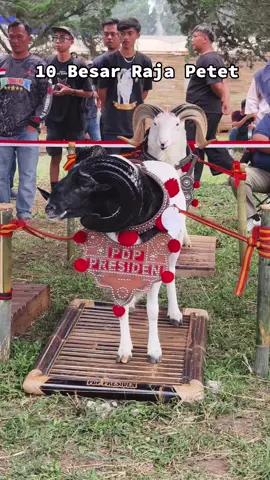 10 besar Raja Kasep #pdppresiden #fyp 