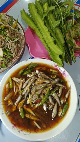 Đã vào mùa cá linh rồi nha,nay mình làm cá linh kho lạc ăn với rau trộn #amthucmientay #AnCungTikTok #xuhuongtiktok #fyp #diepthanh605 #thanhsaudau 