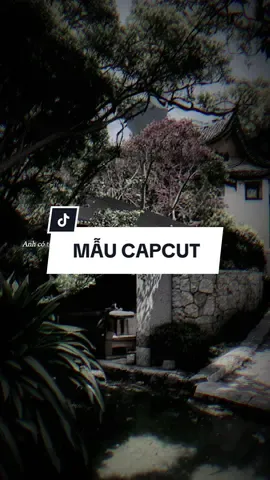 #CapCut NHẠC THÁI LAN REMIX #maucapcut #nhachaymoingay 