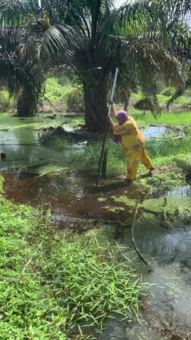 Mau ketawa takut dosa🤣🤣, ni mah berenang mak bukan nyebrang🤣🤣 mamak siapa ni nces??#petanisawit#panensawit#sawitriaupelalawan#mamakgaul#fypシ゚viral🖤tiktok☆♡🦋myvideo#fypviraltiktok🖤シ゚☆♡#fyp 