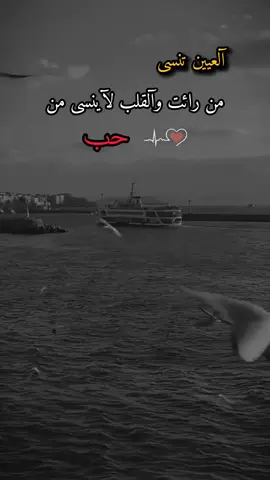 آلعين تنسىَ مـن رائـٌـت وآلقلب لآينسـى مـن حب...#foryou #viral #fyp #حب #الحب #القلب_الحزين🥀💔________✍️مجروح #عبارات_hussein 