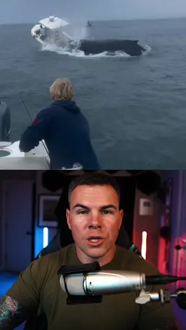 A breaching Whale Capsized a fishing boat off the coast of New Hampshire. 