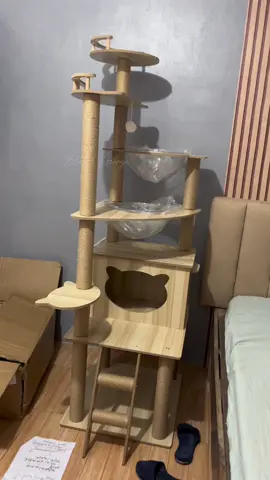 Kung nagbabalak kang bumili ng tower/condo para sa mga cats mo, ito na yung sign mo 🫶🏼 This is one of the best purchase here on tiktok! ✨ #cattower #catcondo #papapets #7feetcatcondo #PetsOfTikTok #blueandgeorge #cathouse