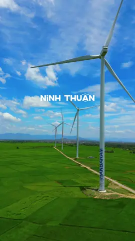 Đây không phải nước ngoài, đây là cánh đồng điện gió Ninh Thuận #travelvietnam #dulichvietnam #traveltiktok #travel #ninhthuan #85ninhthuận 
