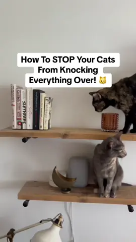 Ever had your cats boop things off shelves? 🐱🙈 We sure did, especially at night! Enter museum putty: it sticks things in place without any fuss. I love how easy it is to (re)use and there’s no residue left behind. Let me know if you want to know where I buy mine from. #noad #CatLife #PetHacks #catsoftiktok #catproblems #homehacks #catlady #homedecor 