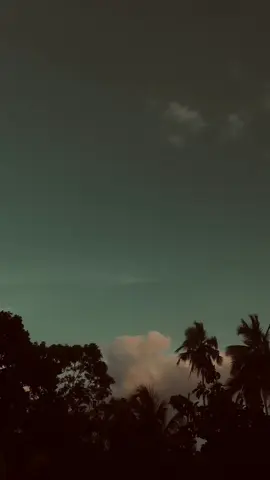 Mental freedom 🧠☁️🍃 • • • • • 🤎🤍 #sky_views #skyview #cloudysky #eveningvibes  #skyvedio #viralvideo #whatsappstatus #pageadmim #foryourpage #fypシ  #🤎🤍 