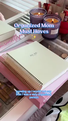 In my organized mom era ✨ planner is from @The Dailee #organize #organization #momlife 