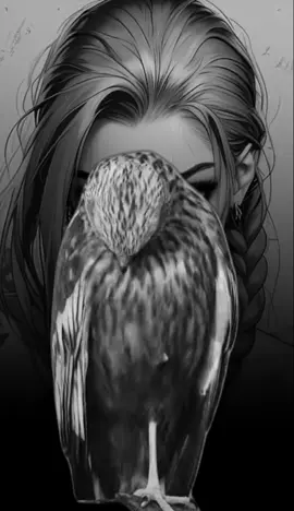 #CapCut PASEN UN EXCELENTE MIÉRCOLES 🙏