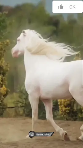 اللهم اجعلنا من الحامدين الشاكرين