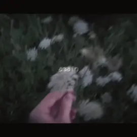 #THEBIRDANDTHEBEE || again and again and again and again and again and again and again and again and again and again… . . . #againandagain #music #ilovemusic #overandoveragain #silly #yippie #musicforever #music4ever 