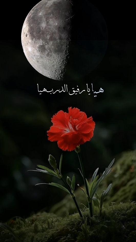 يا رفيق الدرب هيا #اناشيد_بدون_موسيقى #اناشيد_متنوعة  #لا_اله_الا_الله #محمد_رسول_الله #صلى_الله_عليه_وسلم #يا_رفيق_الدرب_هيا #CapCut 