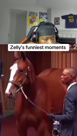 Zelly’s funniest Moments #fyp #Realarzell (Twitch & YT RealArzell)