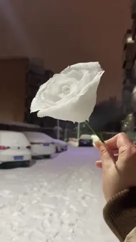 Satisfying How To Make A Snow Rose 🌹 ❄️ #snow #rose #snowrose #howto #tutorial #satisfying #oddlysatisfying #fyp 
