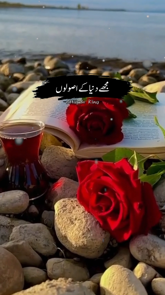 Mere Dil Ki Duniya Ho Tum ✨❤️ #foryou #fypシ #happiness #lines #urdu #poetry #heart #world #rules #beautiful #flowers #red #rose #Love #status #life #aesthetic  #trending #video #viral #100k #500k #1millionaudition #views #grow #account #support #unfrezzmyaccount #Attitude_King @TiktokPakistanOfficial @♛𝘼𝙩𝙩𝙞𝙩𝙪𝙙𝙚❥︎🇰𝔦𝔫𝔤 @♛𝘼𝙩𝙩𝙞𝙩𝙪𝙙𝙚❥︎🇰𝔦𝔫𝔤 @♛𝘼𝙩𝙩𝙞𝙩𝙪𝙙𝙚❥︎🇰𝔦𝔫𝔤 