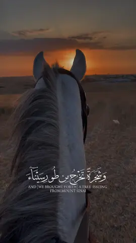 #وشجرة_تخرج_من_طور_سيناء #صباح_الخير #صلوا_على_رسول_الله 