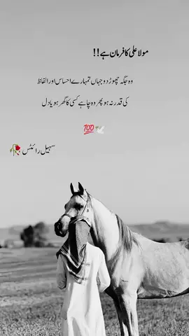 #MolaAli🕊️ 🫀#poetry #urdupoetry #Attitudepoetry #fyp -viral#fyp #grow #trending #account #whataappstatus 