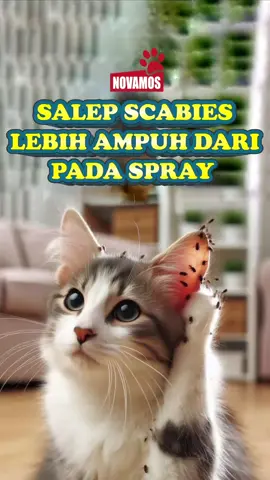 Salep scabies lebih ampuh dari pada spray #salepscabies #salep #scabies #viral #fyp #fypシ 