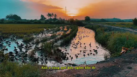 #CapCut Anh ở vùng quê , khu nghèo khó đó …#thienlyoi #radiothugian #cover #yenbinh 