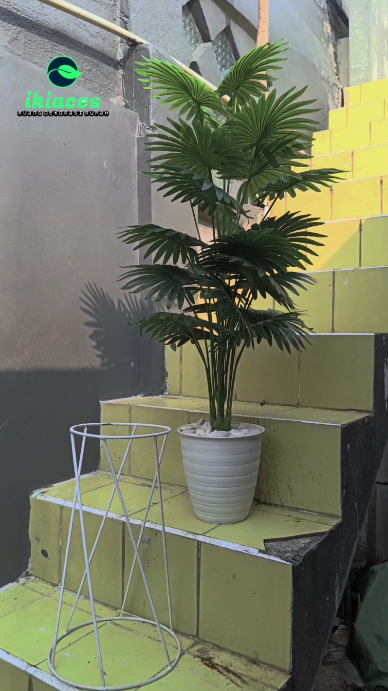 Nih Mimin Spil lagi Palem kipas 18 tangkai nya♥️🫰🔥 yu segera order klik keranjang kuning di bawah 🔥 #bungaplastikmurahidaman #bungaaesthetic #hiasanrumah #dekorasiwedding #inspirasidekor #bungaplastik #fypシ #palemkipas 