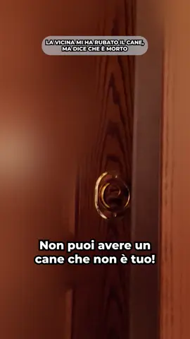Il cane Gustavo è morto o è ancora vivo? Vi abbiamo raccontato questa storia con @_robertarei_: ecco tutto quello che è successo in questa stagione! #LeIene #DaVedere