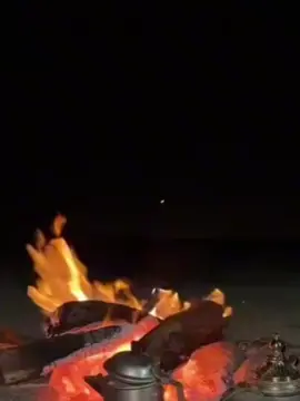 #القيلون_العصبي #العصبي #قصيده_شعر_بوح_كلام_من_ذهب #قصيده_شعر 