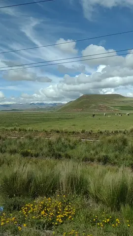 Tren al sur - Los prisioneros Siete y media en la mañana Mi asiento toca la ventana Estación central, segundo carro Del ferrocarril que me llevará al sur #paisajeshermososconmúsica #paisajesnaturalesconmúsica #música #paisajeaesthetic #tavi_sptia #carretera #🛤️ #longervideo  #letrasdecanciones #lyrics  #trenalsur #tendencia 