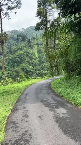 Alam adalah obat tenang tanpa dosis #siregol #siregolsuperland #amazonnyapurbalingga #hutan #pemandanganalam #pemandanganalamygindah 