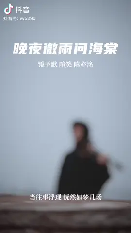 #晚夜微雨问海棠 #vandavivuvanhaiduong #nhactrungquoc #violin #xuhuongtiktok #jyp 