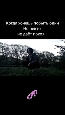 #Альберткабуу #синдромвосьмикласника #Кабуу #петля #голубь 