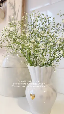 O vasinho mais lindo desse mundo !!  . #bomdia #decor #decoracao #kitchen #cozinha #cozinhabranca #dica #cozinhalinda #vaso #brasil #arquitetura #Love #winter2025 #instagood #design #interiordesign #lardocelar #decoração #homesweethome #designdeinteriores #dicas #CapCut 