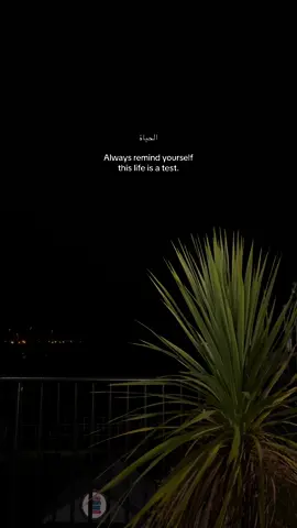 #fyp #foryou #foryoupage #viral #viralvideo #viraltiktok #quotes #alhamdulillah #muslim #muslimtiktok #muslimah #muslims #islam #islamic_video #islamic #islamic_media #islamicvideo #islamicreminder #islamicquotes #islamicstatus #islamictiktok #islamicpost 