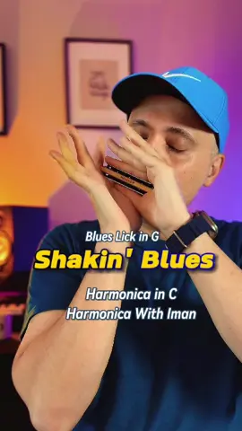 Master the Shakin' Blues: Harmonica Shake Technique Unveiled! #bluesharmonica #harmonicaplayer #harmonicawithiman #ImanRahimipour #harmonicaforall #harmonica #BluesLicks 