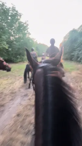 🔝 #foryou #fyp #horseriding #friends #speed #horse  @imola_kicska  @Mari💞 @Dodo @szabo.aliz @🌺Villő🌺 