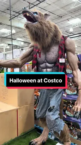 You can’t keep me away. Home away from home. #costcofinds #halloween 