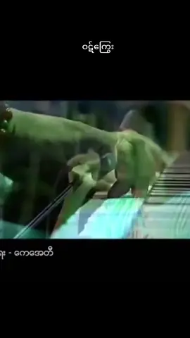 #ဝိုင်ဝိုင်း#ဝဋ်ကြွေး#tiktok #music #foryoupage #foryou #f #❤ 