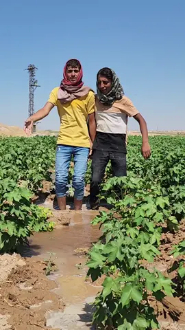 #تصويري #الله ينعن الكيف اذا ولع #الشعب_الصيني_ماله_حل😂😂 #تل ابيض #سلوك #CapCut @الجنرال 199 @𝟏𝟏:𝟎𝟎 @حً ـمِــوُدِي آلُِ هـآشُمي🦅🤍 @حَموديّ إل ـهاْشٌمي🖤🐺 