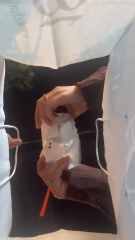 Get ready for our new menu🤫👀#chai #mocktail #fyp #foryou #foryoupage #chaigreen1823 #chaigreen #halalfoodbirmingham #worklife #fypシ゚viral #restaurant #halal #newmenu #newmenulaunching 