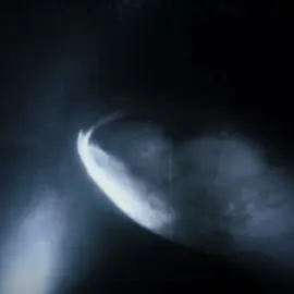 The one shark that creeps me out #megamouthshark #animal #fyp #viral #edit #capcut #jurassicworldclipz 