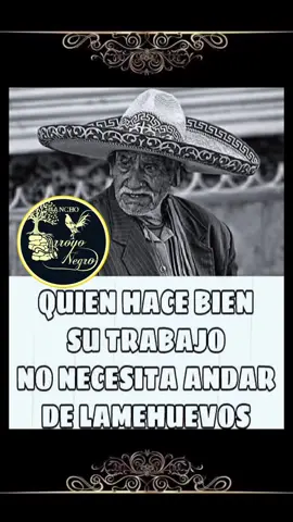 #frases de #exito #motivacion #autoayuda #gallosfinos #arroyonegro #gallos  #593 #gallosmexico🐓👌 #cuenca 