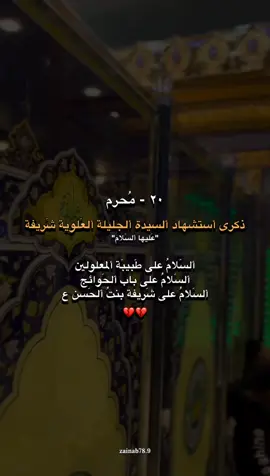 ٢٠ -مُحرم ذكرى أستشهاد ألسيدة شريفة بنتُ ألحَسن ع💔. #ياصاحب_الزمان #اللهم_صلي_على_نبينا_محمد 