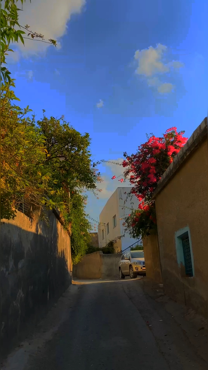 - لكم التعليق👏👏👏