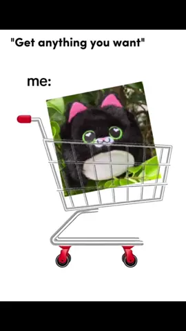 Let’s go shopping @Kamhi World! #trending #foryoupage #toys 