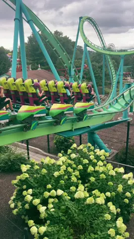 You need HYDRA 💚 #rollercoaster #dorneypark #dp #thrills #rides #wow #amusementpark #themepark #scary 