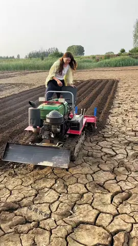 machine agriculture .  #harvest #agriculture #farm #farmer #fruit #cooking #cook #plants #fyp #videoviral #viral #reel #reels #fanspage #vegetables #modern #videoviral #reelviral #culture #technology #sains 