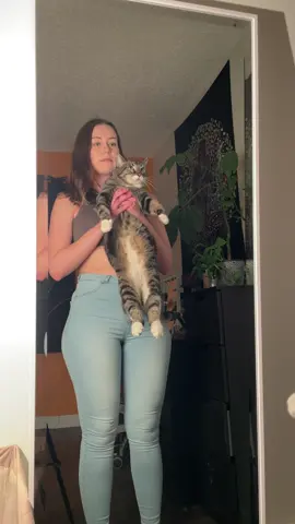 His automatic kitty feeder went off lolol 